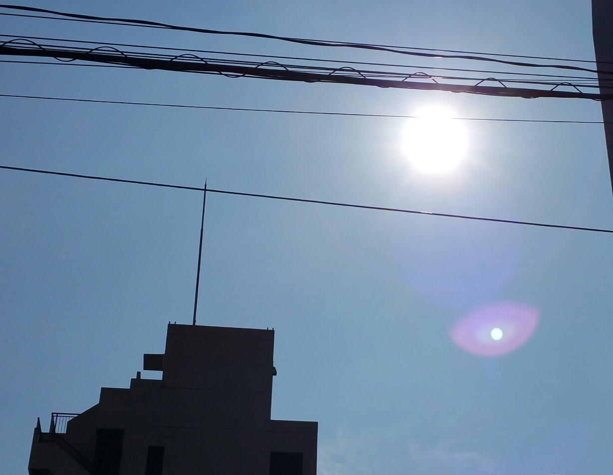 太陽