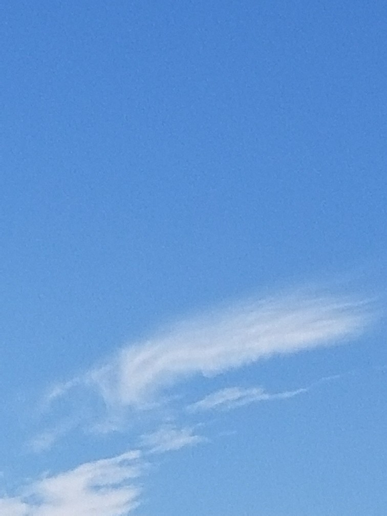 秋の空