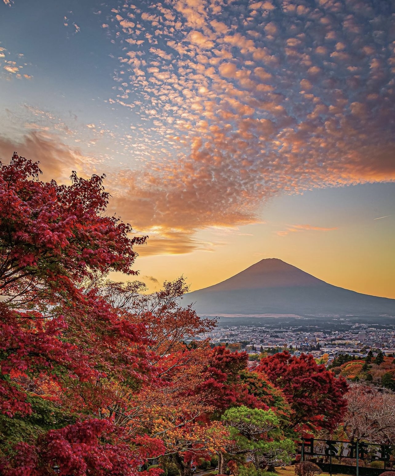 紅葉シーズン