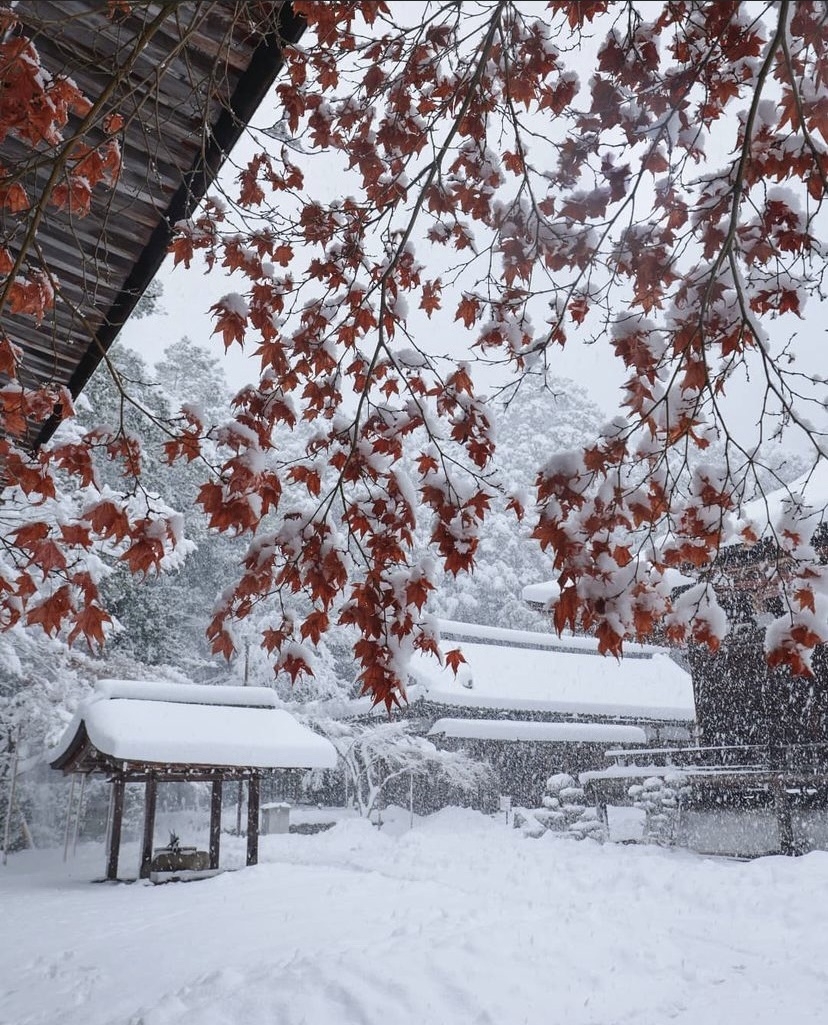 雪