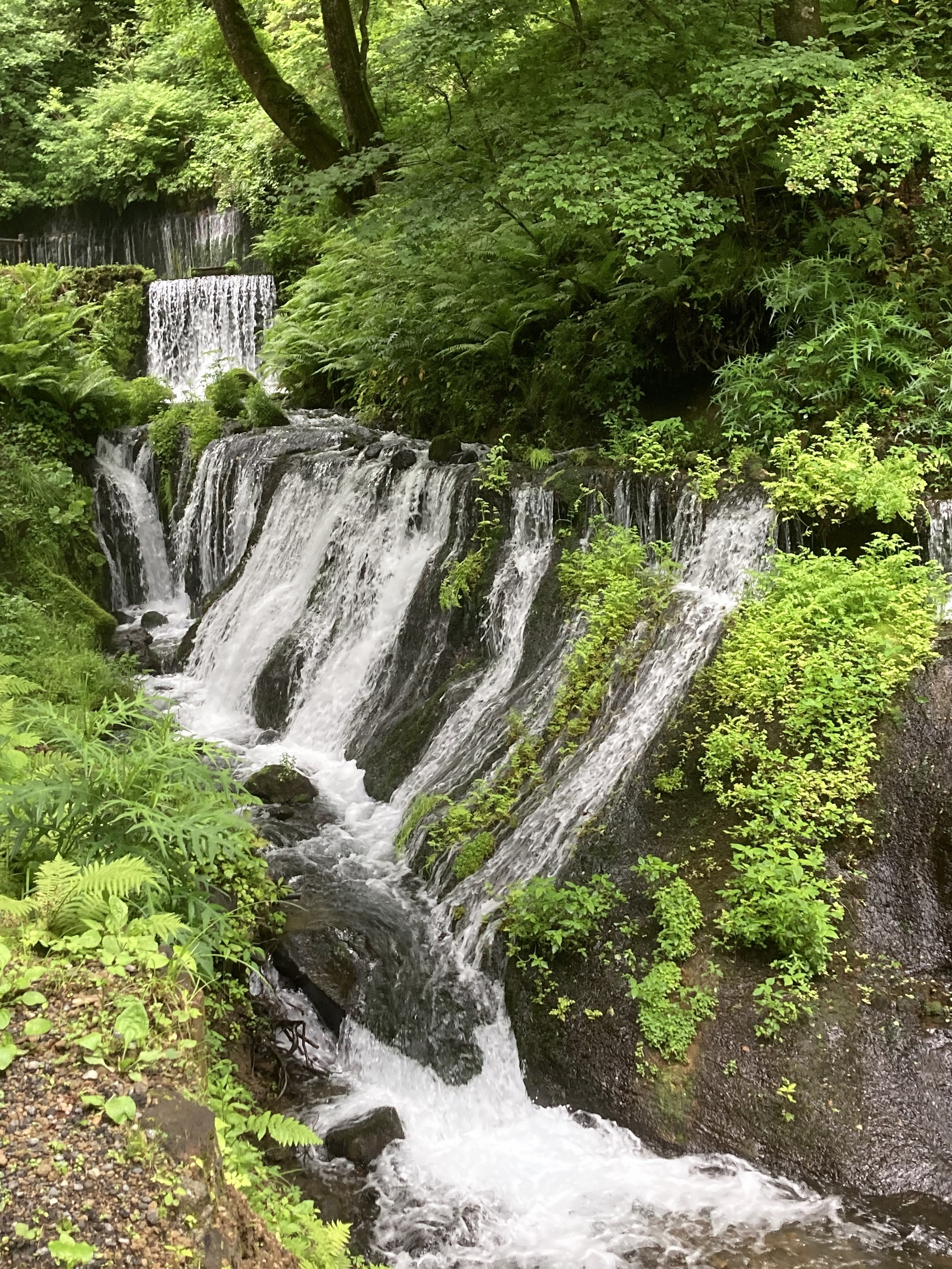 白糸の滝